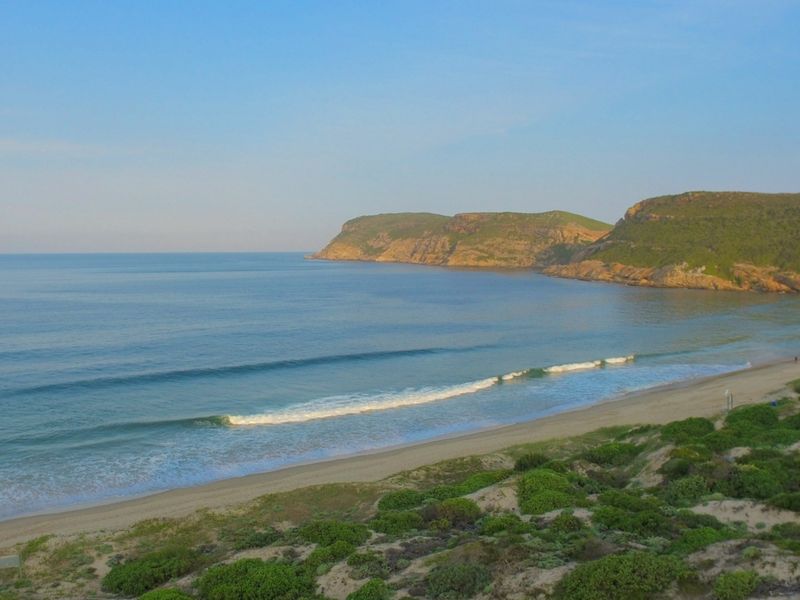 A scenic view of the coastline featuring a sandy beach, rolling dunes, and ocean waves against a backdrop of coastal hills.