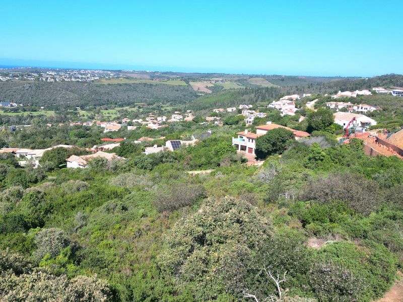 An elevated aerial view of the residential landscape, showcasing the surrounding natural vegetation and nearby housing developments.