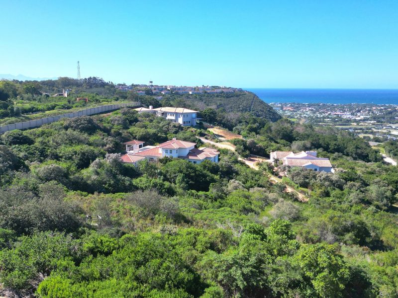 An aerial view of a coastal residential estate surrounded by lush natural vegetation with ocean views in the distance.