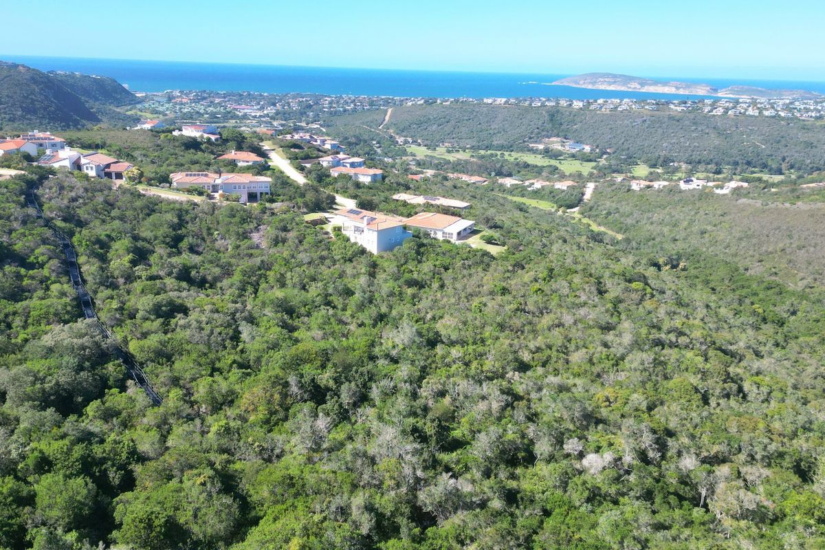 An aerial view of a residential estate surrounded by dense native vegetation with a scenic coastal backdrop.