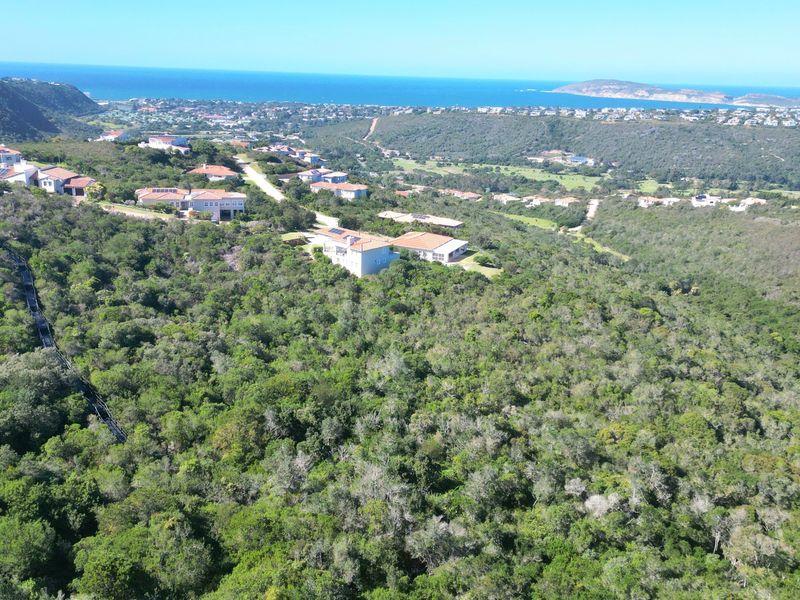 An aerial view of a residential estate surrounded by dense native vegetation with a scenic coastal backdrop.