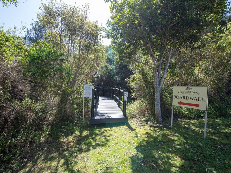 A well-maintained wooden boardwalk path leading into a lush, wooded garden area within the estate.