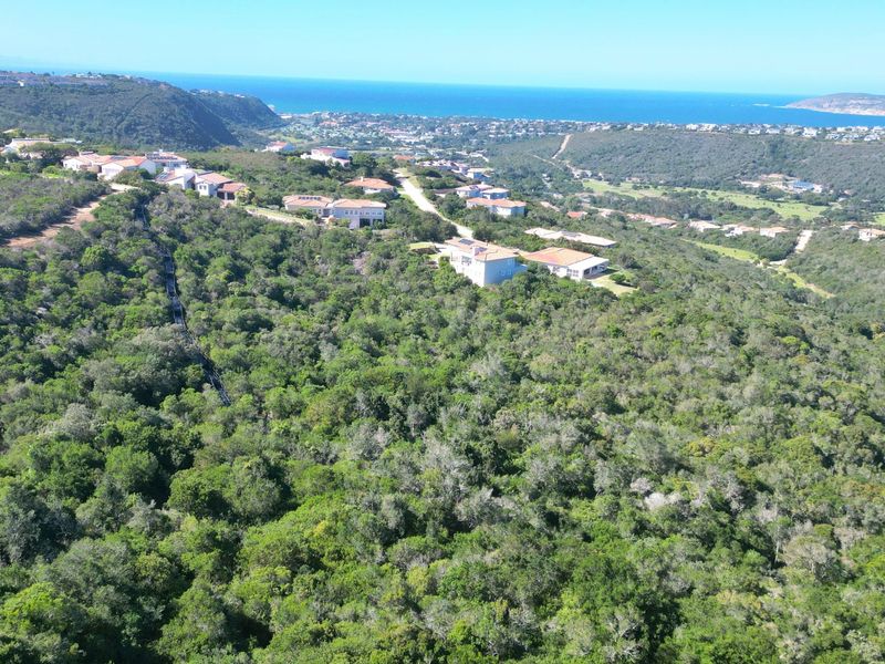 An aerial view of a residential estate nestled within a lush, green landscape, offering expansive views of the surrounding coastline and ocean.
