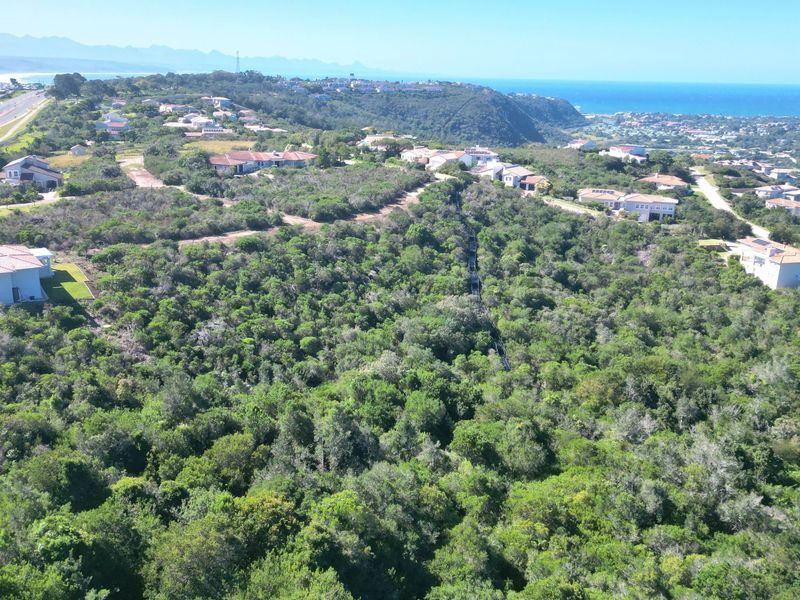 An aerial view of a residential estate surrounded by dense coastal vegetation with distant ocean views.