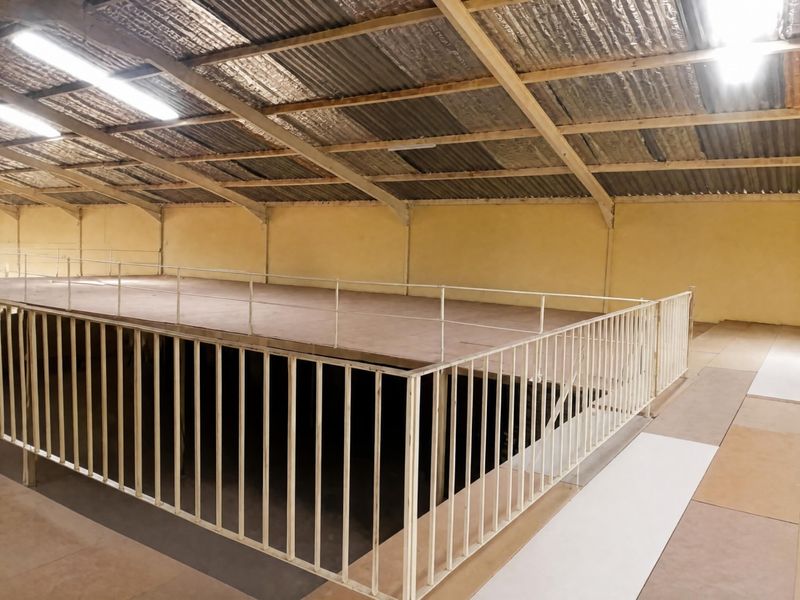 An open-plan mezzanine office space featuring exposed timber roof trusses, corrugated metal roofing, and protective metal railings.