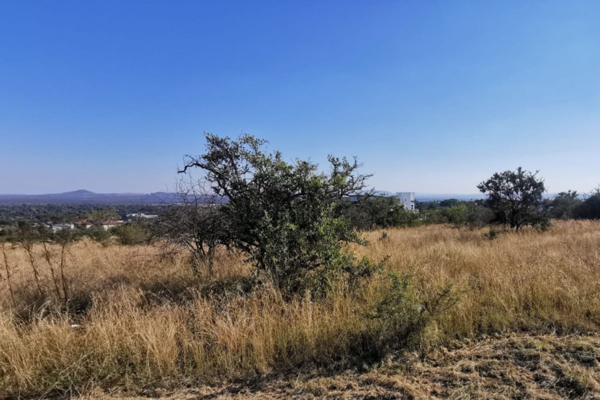 A scenic view of the undeveloped commercial land featuring natural vegetation and distant landscape vistas.