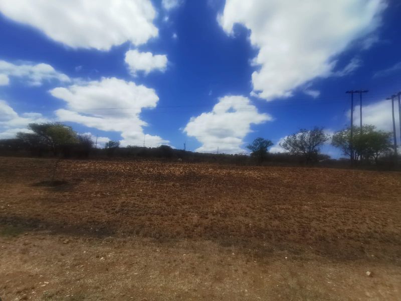 A view of a vacant commercial land plot featuring open terrain, native vegetation, and existing utility infrastructure.