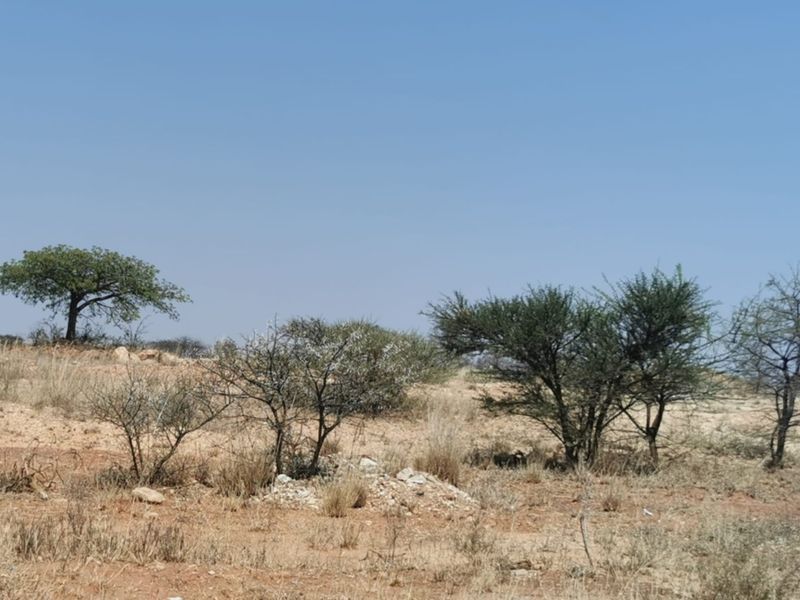 A view of the vacant commercial land featuring natural terrain and native trees under a clear sky.