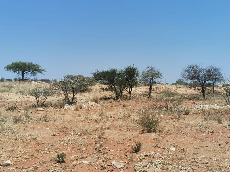 A view of a vacant commercial land plot featuring natural terrain and native vegetation under a clear sky.