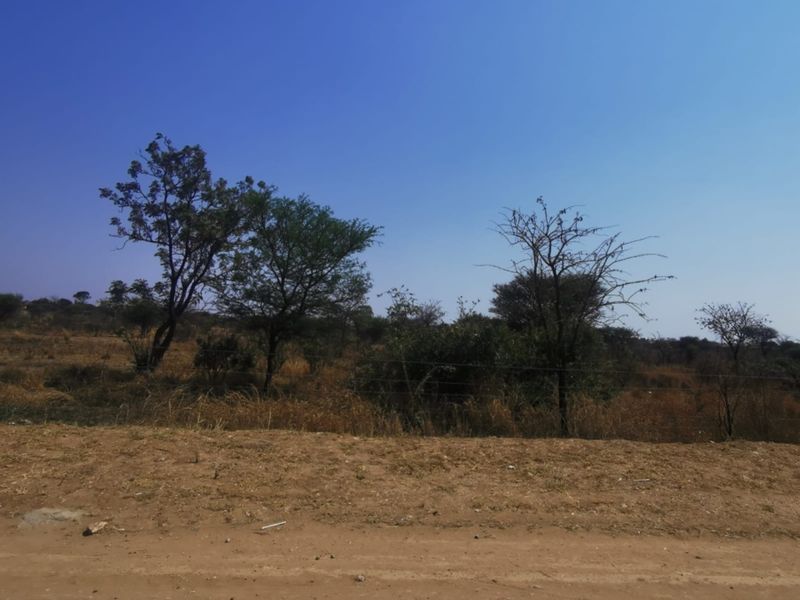 A view of a vacant commercial land plot featuring natural vegetation, indigenous trees, and a wire boundary fence.