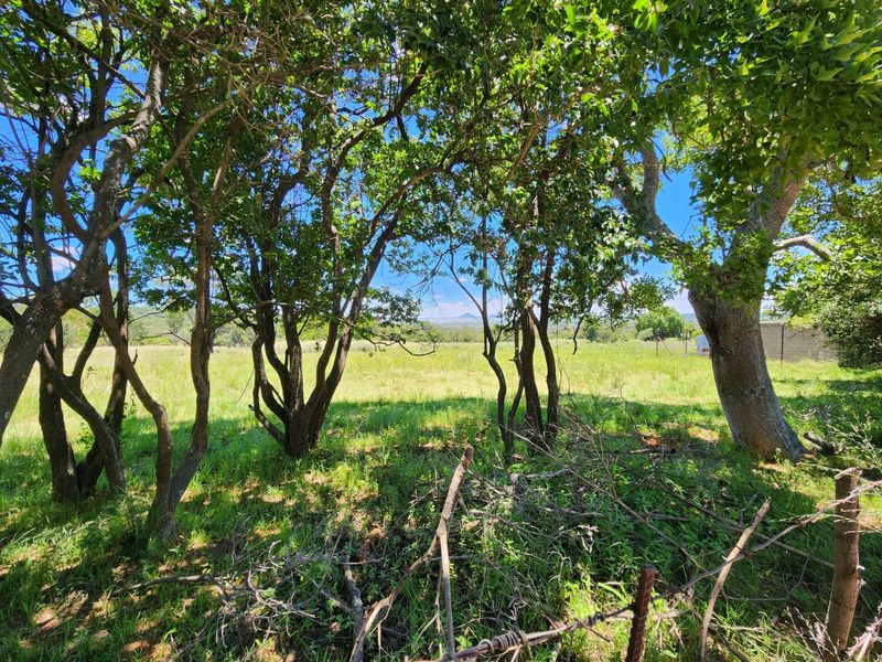 A scenic view of the open farm landscape framed by mature trees and bordered by a wire fence.