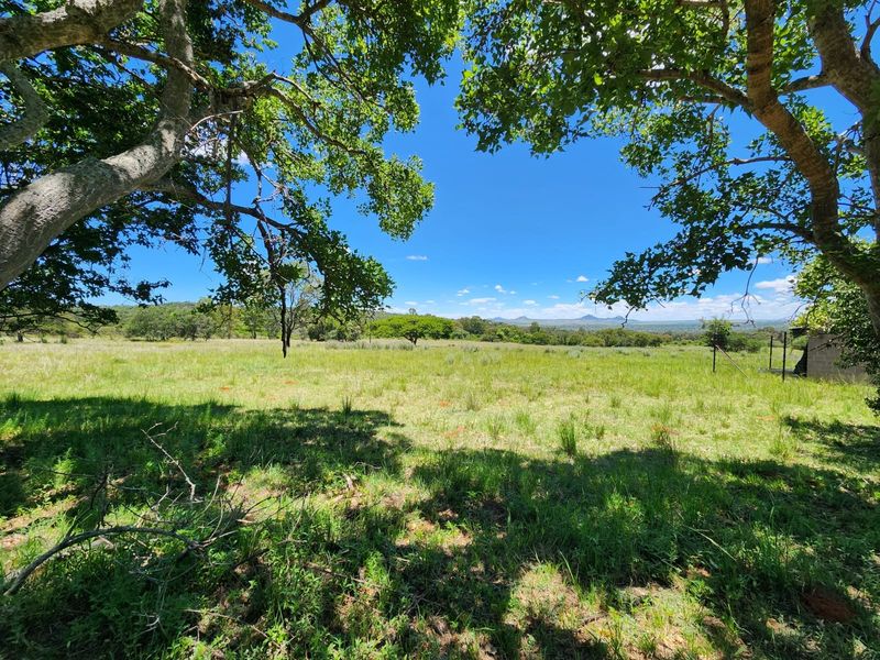 A scenic view of the expansive farm landscape, featuring open green pastures framed by mature trees under a clear blue sky.