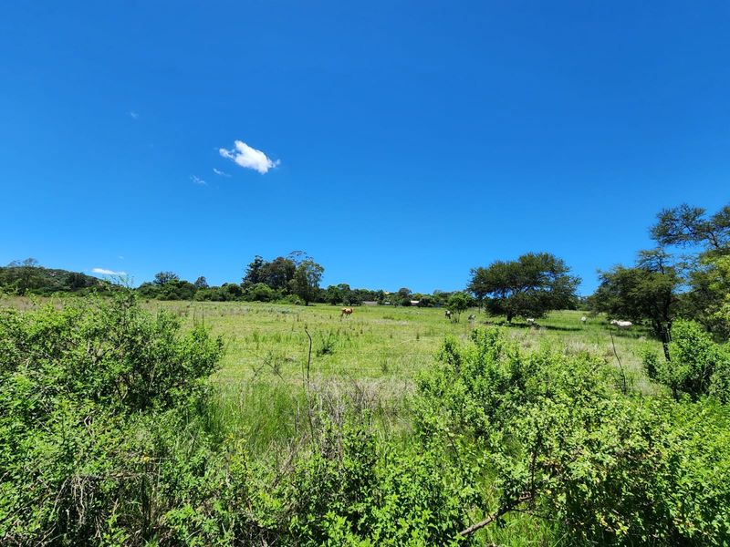 A wide-angle view of the open farm landscape featuring natural vegetation, mature trees, and perimeter fencing under a clear blue sky.