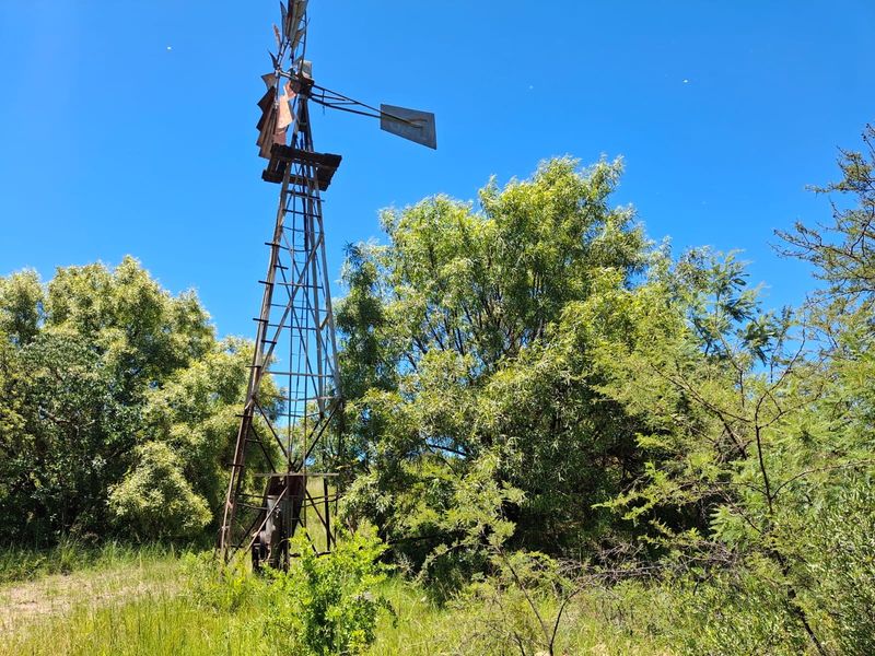 A traditional metal farm windmill situated in a natural garden setting, representing classic agricultural infrastructure on the property.