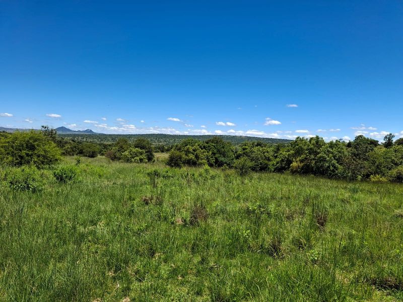 A scenic view of the expansive natural landscape, featuring rolling hills, native vegetation, and open grasslands under a clear blue sky.