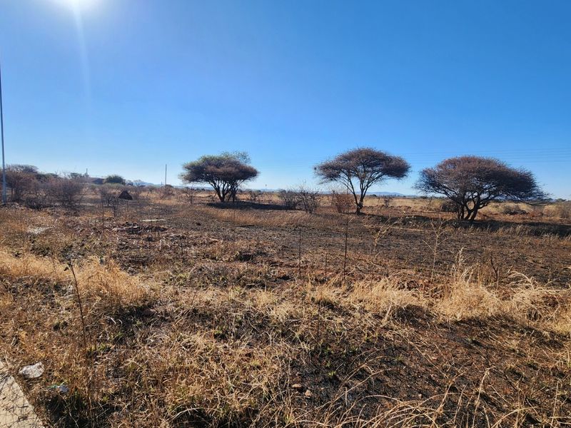 A view of a vacant commercial land plot featuring dry vegetation, scattered trees, and existing street lighting infrastructure.