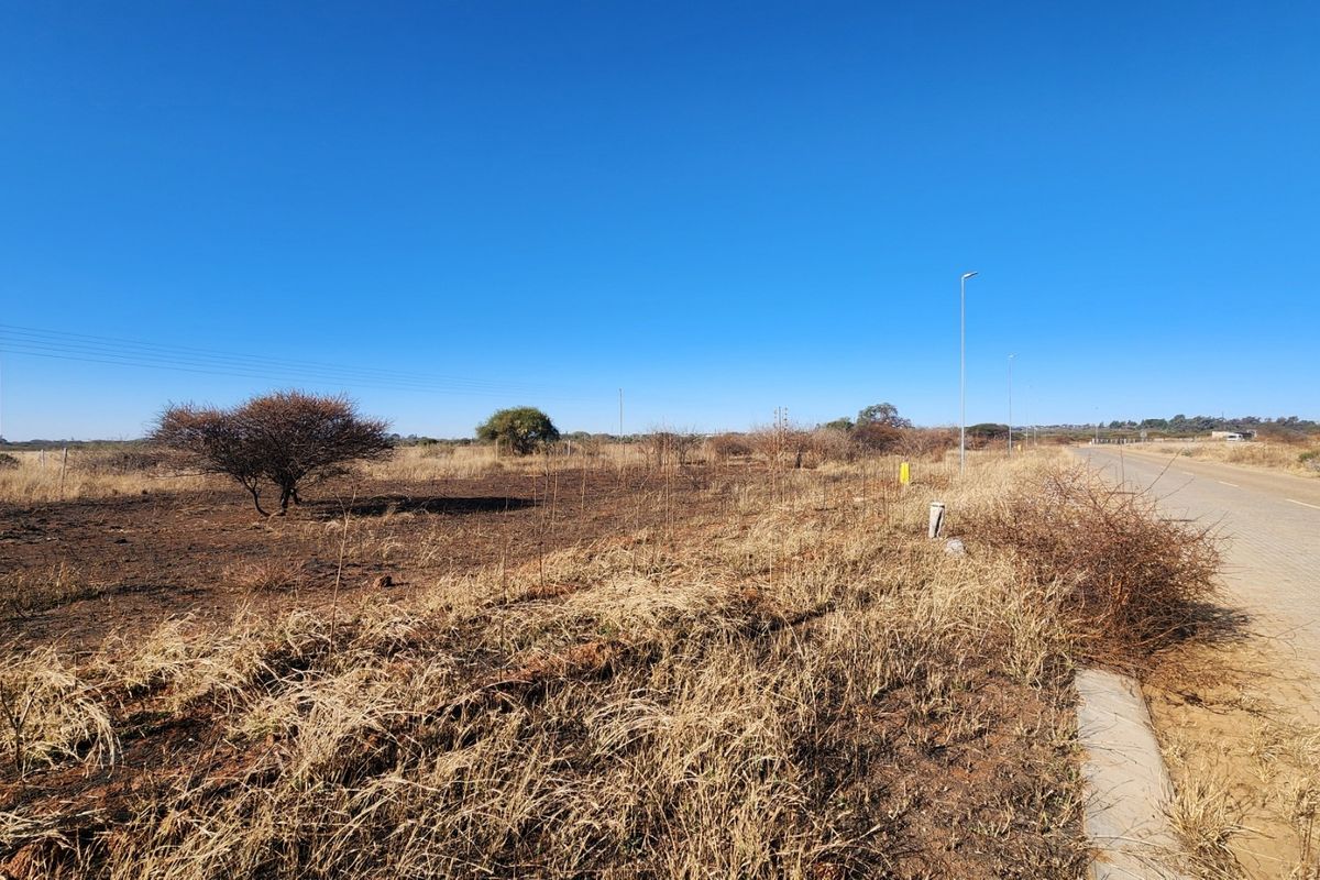 A view of the vacant commercial land parcel adjacent to a paved road with existing utility infrastructure and street lighting.