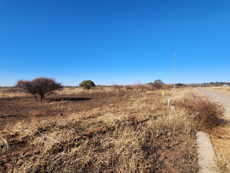 A view of the vacant commercial land parcel adjacent to a paved road with existing utility infrastructure and street lighting.
