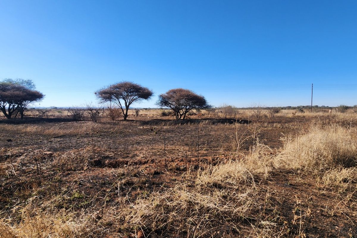 A wide-angle view of a vacant commercial land plot featuring natural vegetation, scattered trees, and perimeter fencing under a clear blue sky.