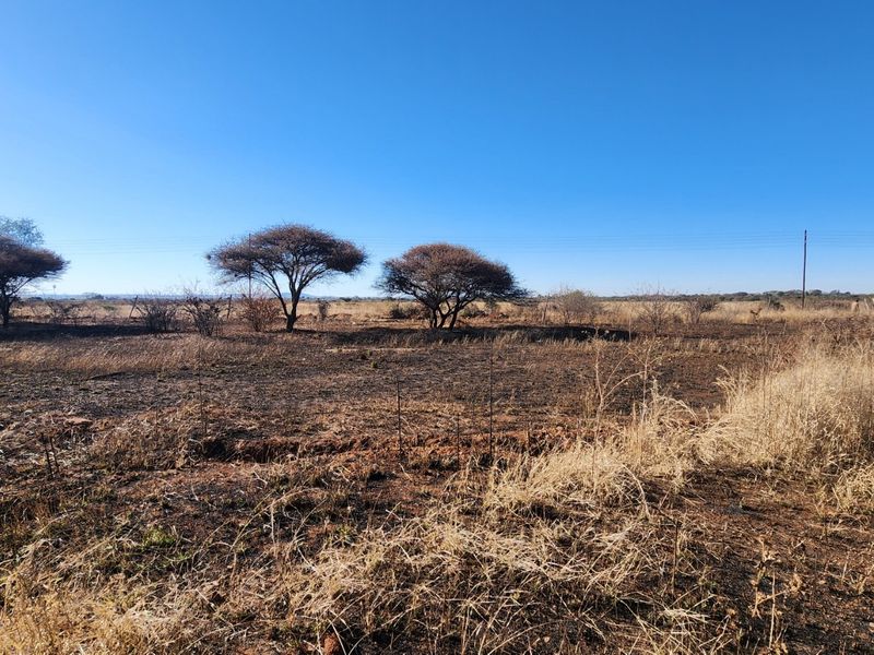 A wide-angle view of a vacant commercial land plot featuring natural vegetation, scattered trees, and perimeter fencing under a clear blue sky.