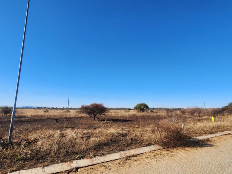 A view of a vacant commercial land plot featuring natural vegetation, street lighting, and paved verge access.