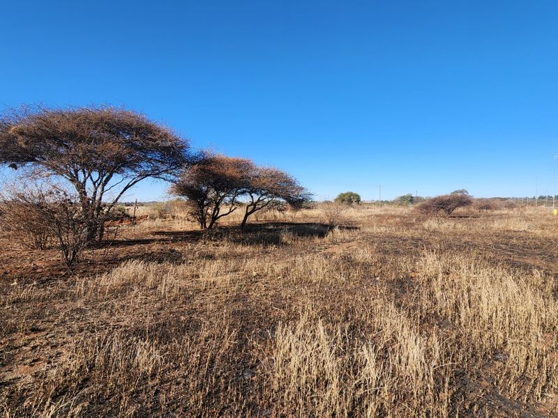 A wide view of vacant commercial land featuring dry grass, native trees, and clear blue skies.