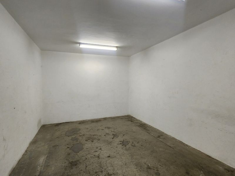 An empty utility or storage space featuring concrete flooring and a single overhead fluorescent light fixture, requiring cosmetic refurbishment.