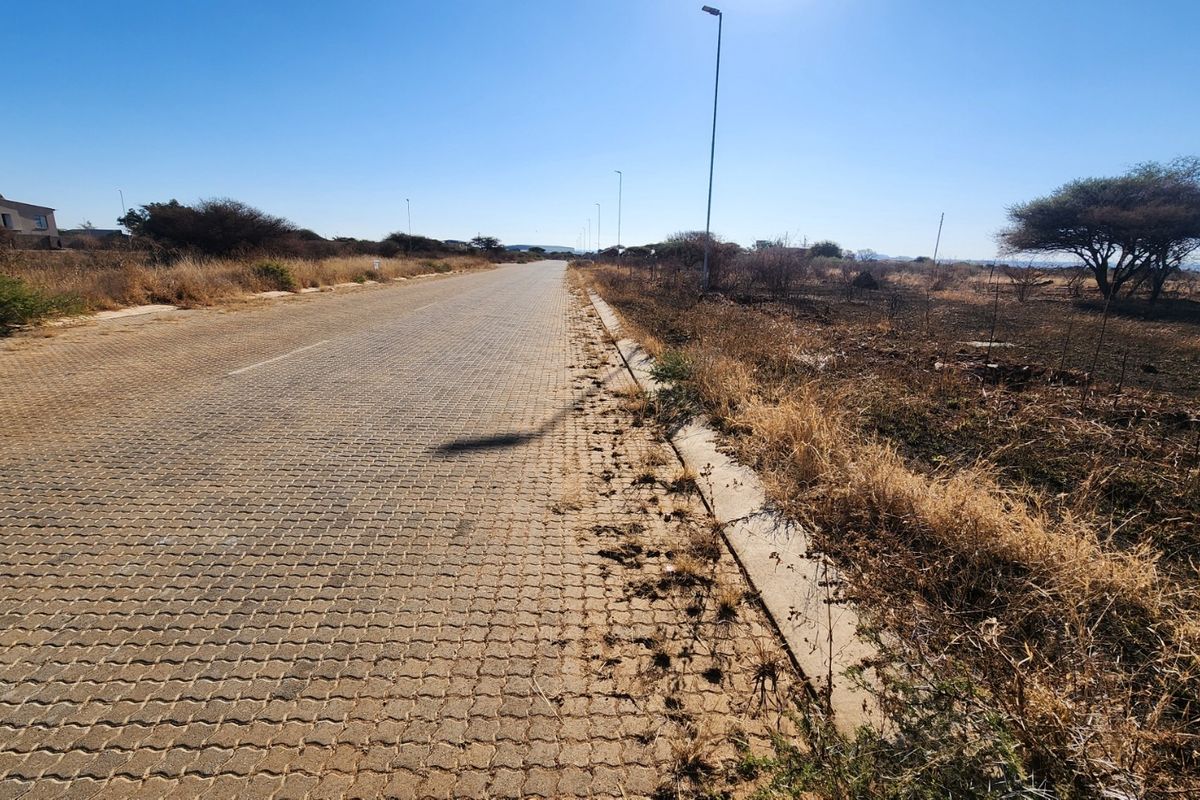 A view of a paved commercial street with concrete curbing and street lighting, adjacent to an undeveloped plot of land.