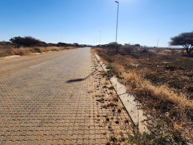 A view of a paved commercial street with concrete curbing and street lighting, adjacent to an undeveloped plot of land.
