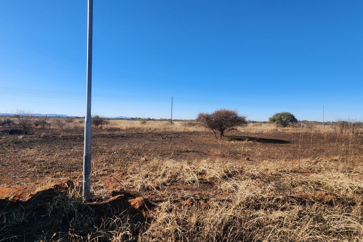 A view of a vacant commercial land plot featuring natural vegetation, a utility pole, and overhead power lines under a clear blue sky.