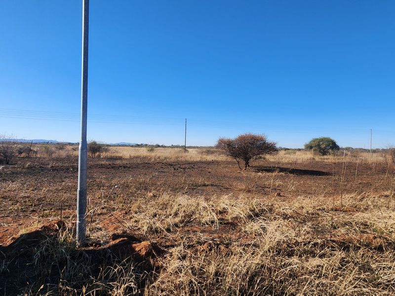A view of a vacant commercial land plot featuring natural vegetation, a utility pole, and overhead power lines under a clear blue sky.