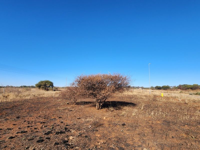 A view of a vacant commercial land plot featuring dry vegetation and existing utility infrastructure under a clear blue sky.