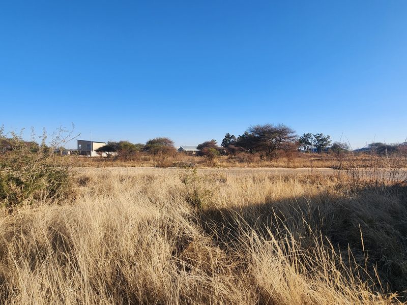 A view of a vacant commercial land plot featuring dry grass, a paved road, and surrounding vegetation under a clear blue sky.