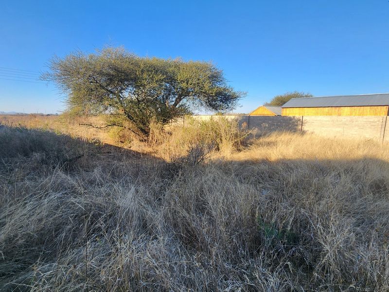 A view of a vacant commercial plot featuring a perimeter wall, mature tree, and overgrown dry vegetation.