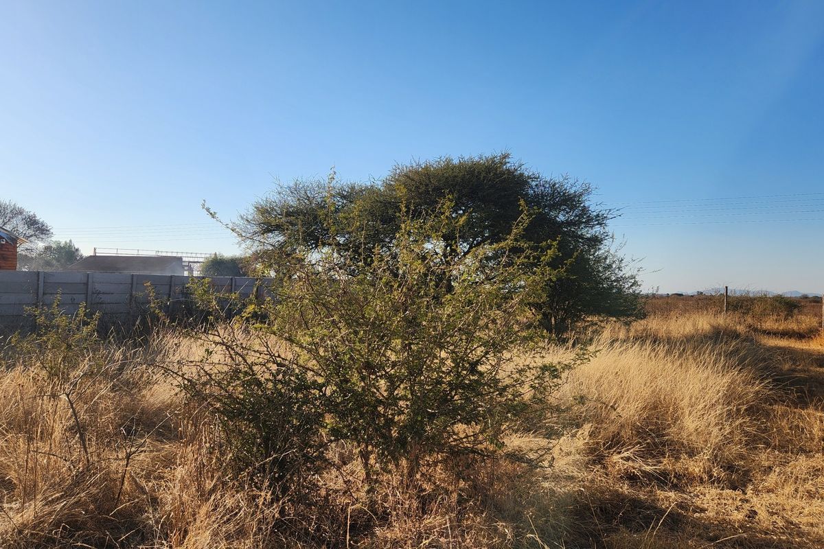 A view of a vacant commercial plot featuring dry grass, mature trees, and precast concrete boundary walls under a clear blue sky.