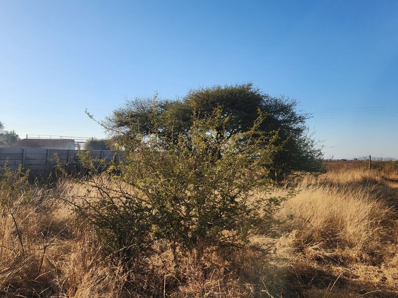A view of a vacant commercial plot featuring dry grass, mature trees, and precast concrete boundary walls under a clear blue sky.