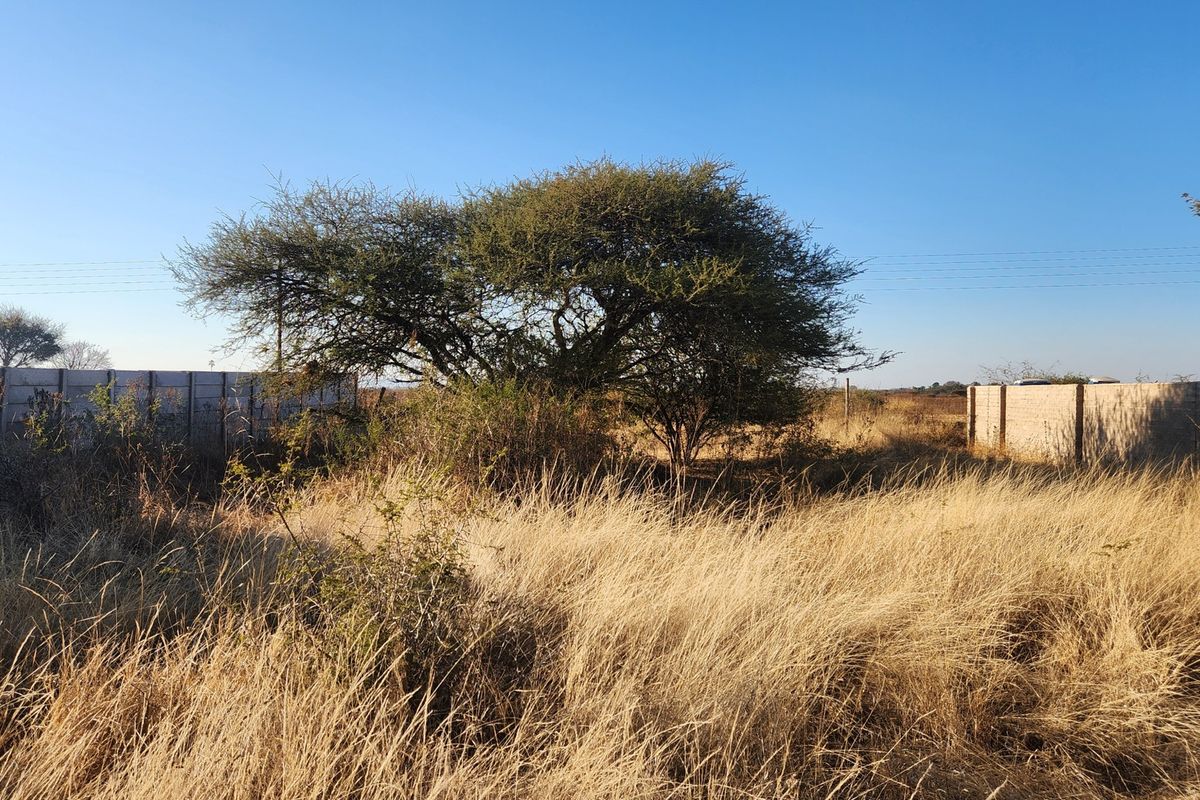 A view of a vacant commercial plot featuring dry grass, a mature tree, and precast concrete boundary walls.