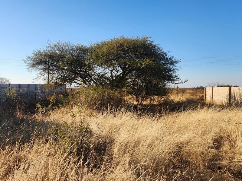 A view of a vacant commercial plot featuring dry grass, a mature tree, and precast concrete boundary walls.