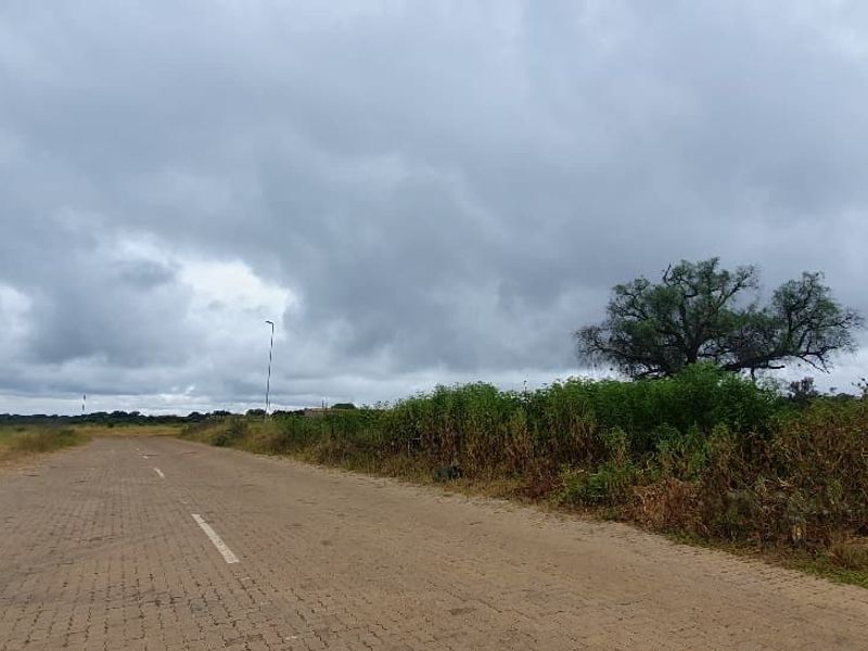 A view of a paved road bordering a vacant commercial land plot with natural vegetation and perimeter fencing.