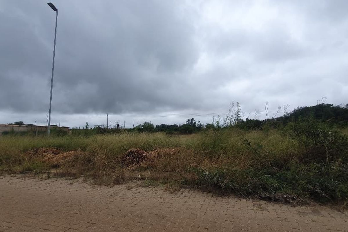 A view of a vacant commercial plot featuring a paved road frontage and an existing street light.
