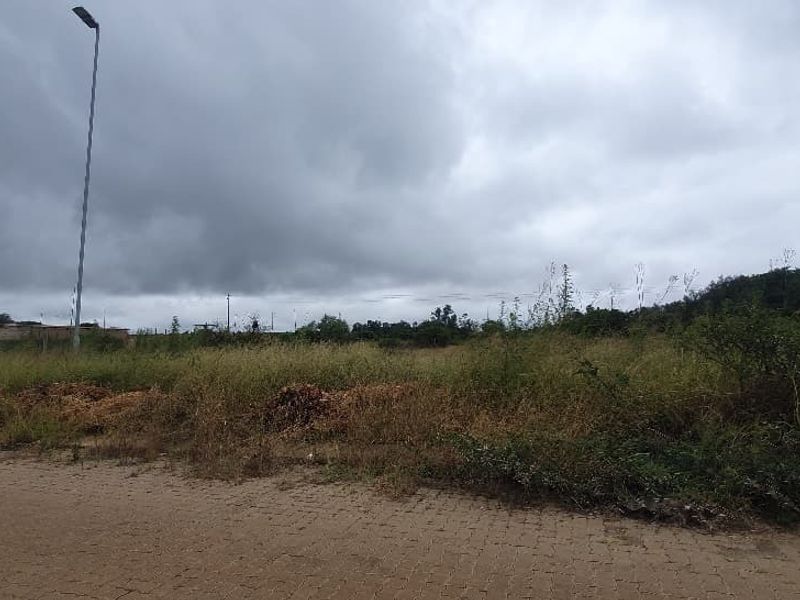 A view of a vacant commercial plot featuring a paved road frontage and an existing street light.