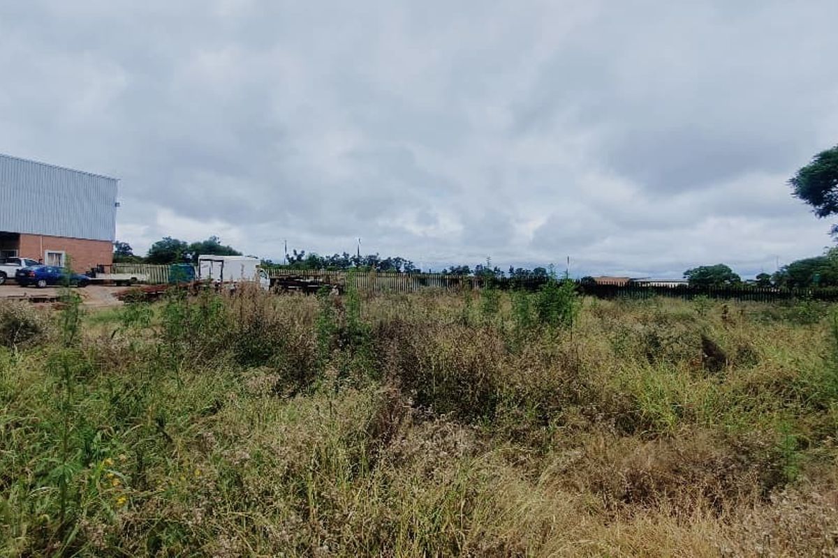 A view of a vacant commercial land plot featuring overgrown vegetation, perimeter fencing, and an adjacent industrial warehouse structure.
