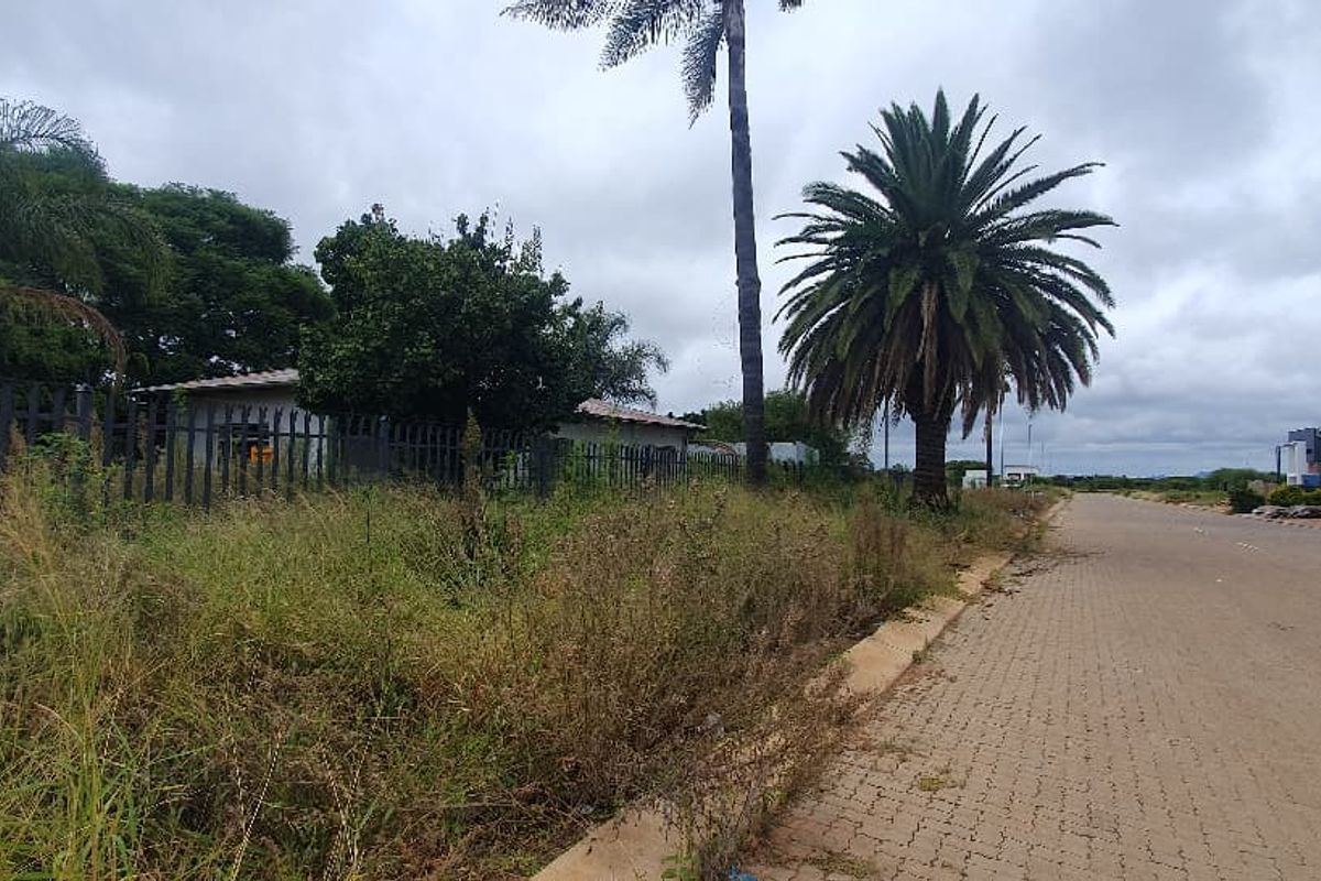 Street view of the commercial vacant land featuring paved road access, perimeter fencing, and established palm trees.