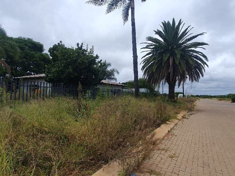Street view of the commercial vacant land featuring paved road access, perimeter fencing, and established palm trees.