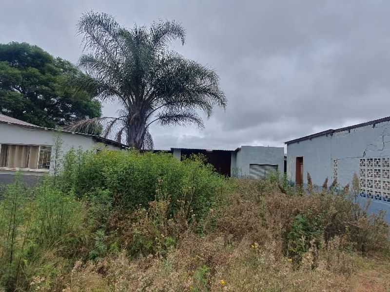 Rear view of the commercial property showing multiple structures, metal roller doors, and significant overgrown vegetation requiring maintenance.