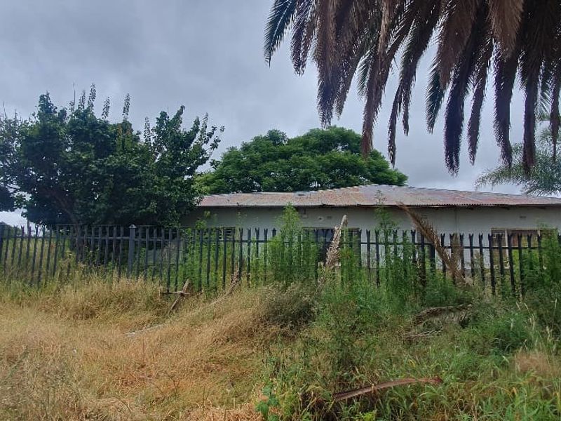 Rear view of a commercial property featuring a corrugated metal roof and metal palisade fencing, surrounded by overgrown vegetation.