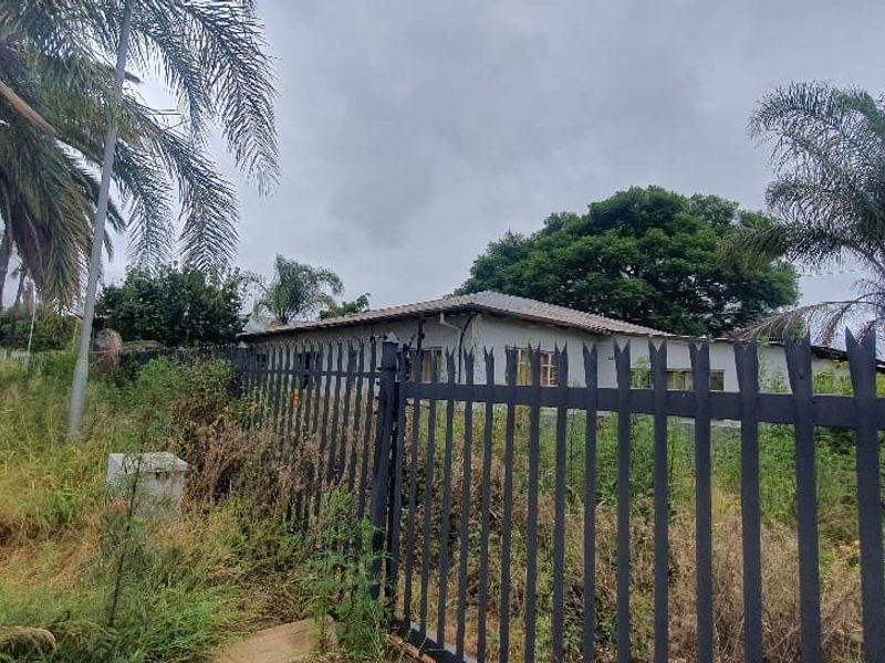 Front view of a property featuring a metal palisade fence and mature palm trees, with significant overgrown vegetation on the grounds.