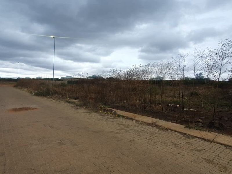 A street-level view of the vacant commercial land, showing the adjacent paved road, curbing, and street lighting infrastructure.
