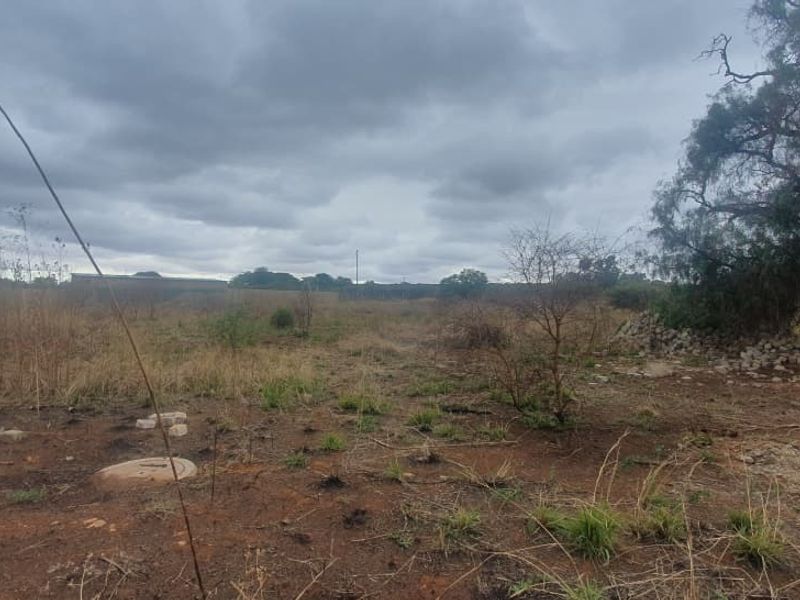 A view of a vacant commercial land plot featuring natural terrain, a mature tree, and a manhole cover under an overcast sky.