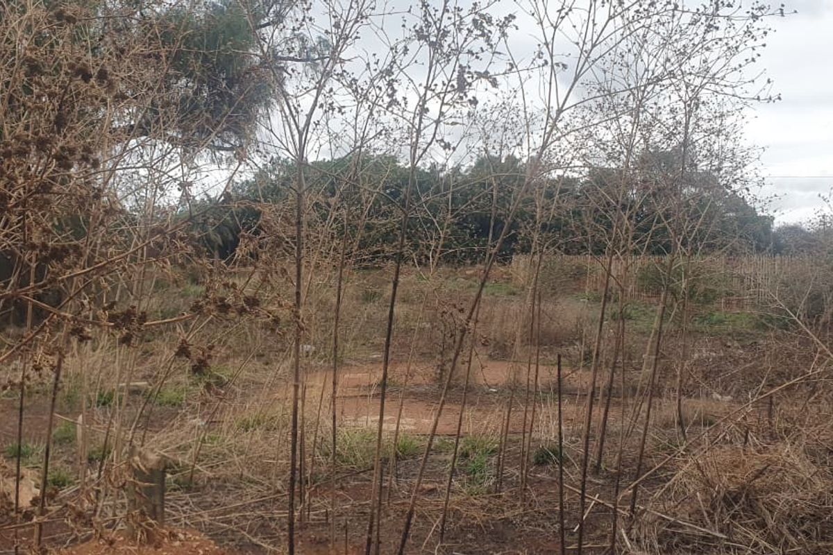 A view of a vacant commercial land plot featuring overgrown vegetation and perimeter fencing.